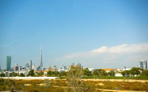 2022-01-21 110529 0548 Dubai-Landscape 5
